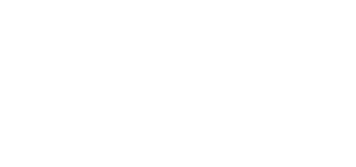 Strategy